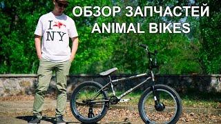 Обзор запчастей от Animal Bikes