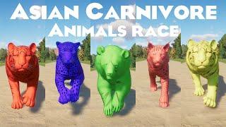 Colored Asian Carnivore Animals Races in Planet Zoo included Bengal Tiger, Black Bear, Leopard & etc