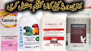 Best calcium for birds | Calcium and Vitamin d3 | Calcium ki kami kese door kren