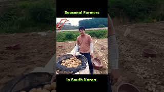 Seasonal Farmworkers