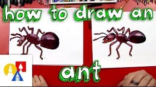 How To Draw An Ant