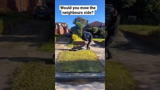 Will it cause a argument with your neighbour? #youtubeshorts #shorts #lawncare #lawn #grass