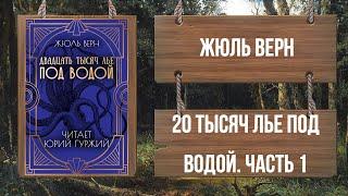 ЖЮЛЬ ВЕРН - ДВАДЦАТЬ ТЫСЯЧ ЛЬЕ ПОД ВОДОЙ - ЧАСТЬ 1