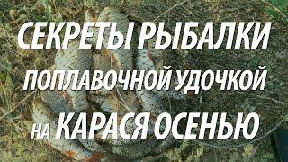 КАК ЛОВИТЬ КАРАСЯ ПОПЛАВОЧНОЙ СНАСТЬЮ. СЕКРЕТЫ РЫБАЛКИ НА КАРАСЯ В ТРУДНЫХ МЕСТАХ