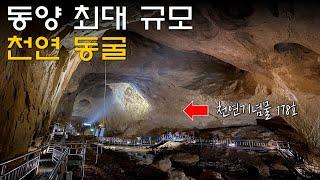 천만명 다녀간, 보고도 믿기지 않는 크기의 동양 최대 규모 동굴 | 국내여행 | 일일여행