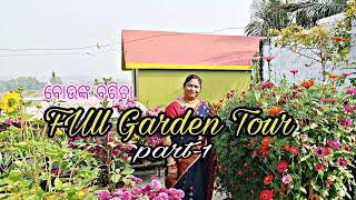 ବୋଉଙ୍କ ବଗିଚା || Full garden tour || terrace garden ||ଓଡ଼ିଆ (odia ) part -1