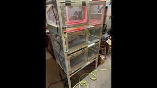 Stackable quail cages