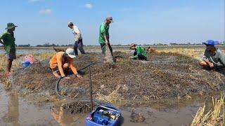 Lạ Thay Bác 3 Chày Cá Trên Gò Đất Dính Toàn Chuột Đồng.Góc Làng Quê#1368