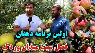 صادرات سیب میدان وردک به خارج از کشور| Midan Wardak Apple