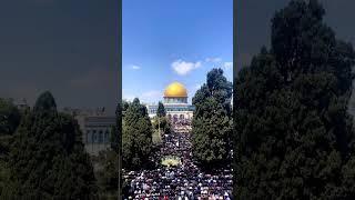 #jummamubarak #alaqsa #jerusalem #ramadan #alquds #islam #friday #muslim Photography AyaAmin #shorts