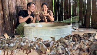 Jhony raises more chickens to expand the farm