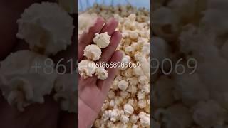 Corn popper hot air popcorn machine