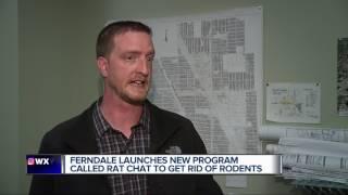 Metro Detroit city launches program to get rid of rodents