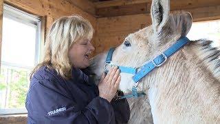 Equine Rescue Centre