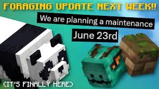 Foraging Update Next Week! (Hypixel Skyblock News!)