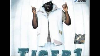 Tiger 1 feat Elena - Pain