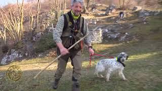 THE QUEEN OF THE WOODS 2025