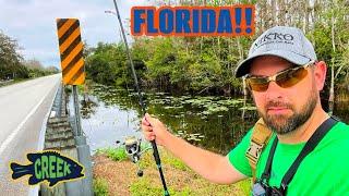 2 Hours Fishing Florida Canals and Ditches