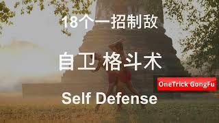 18种 #一招制敌 自卫格斗术 - Self Defense  - #OneTrickFight