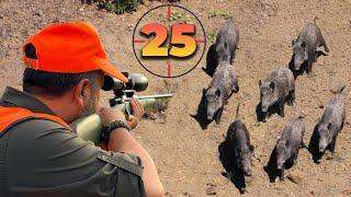 25 Perfect Shots in 14 Minutes | BEST Moments of WILD BOAR Hunts! 