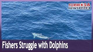 Taitung fishermen face decimated catch, call for downgrade to dolphin conservation