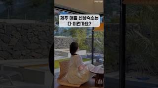 제주 애월 신상숙소 실체를 낱낱이 밝힙니다‼️