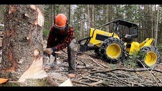 Logging Spruce and Fir | Maine | Cable Skidder