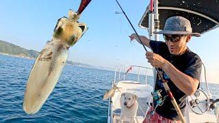 TIPRUN EGING: Japanese Squid Lure Fishing Technique