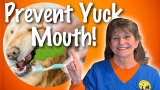 How to IMPROVE Your PETS DENTAL HEALTH - For Dogs and Cats