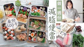 減脂！一週低醣便當！500卡+高纖高蛋白+低GI｜冰箱常備便當菜｜ft. Panasonic電冰箱