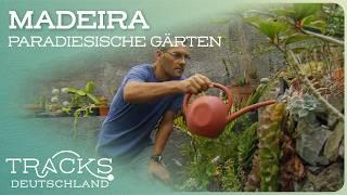 Gartenträume auf Madeira: von traditionell bis kreativ | Reisedoku | TRACKS Deutschland