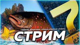 ⭐СТРИМ РР4 | Троллинг кого? |  Призы В Рулетке!