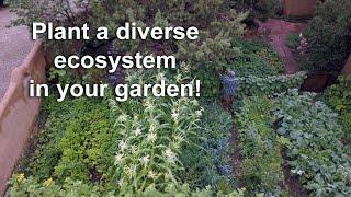 Planting an ecosystem in your garden!