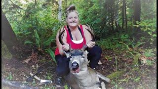 Deer Hunt, catch, cook and  Salmon fishing along the way.