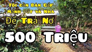 Giang hồ đến tận nhà buộc lòng phải bán tháo mảnh đất để trả nợ gấp