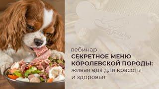 Как кормить собаку правильно? Натуральное питание для собак: секреты здоровья питомца