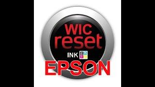 INKCHIP Adjustment Program reset Waste Ink Counter on Epson