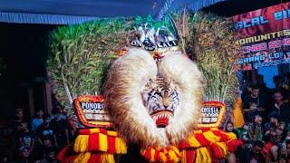 NGERI ‼️ solah serekan reog Ponorogo PEMBARONG GANTENG