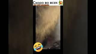 Як треба засівати, скоро..