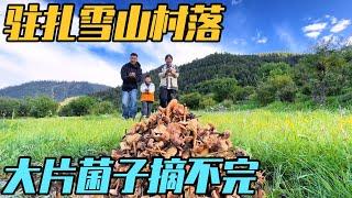 房车自驾川西，驻扎雪山村落，大片菌子摘不完【家和远方的旅行】