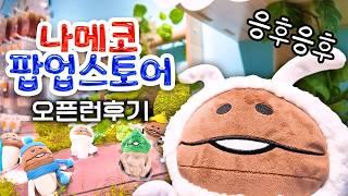 성수동 나메코 팝업스토어 주말 오픈런 후기 (응후응후)