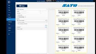 How to create multiple label in one page using NiceLabel