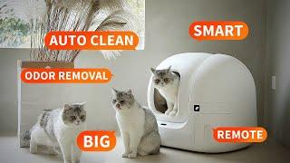 PETKIT PURA MAX｜The Self-cleaning Cat Litter Box Provides You A Hands-free Cleaning Experience