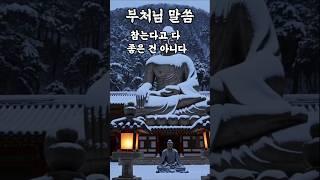 참는다고 다 좋은 건 아니다#부처님말씀 #부처님명언 #불교명언