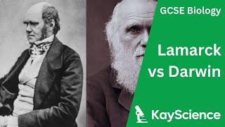 Lamarck vs Darwin - Biology GCSE | kayscience.com