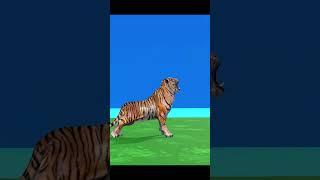 Tiger 3d Animal Game  #animation #animalcharacters #cow #cartoon #kids #cartoonanimals #animalsgames