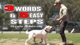 These 3 Words are the SECRET to Dog Training - Learn them Today!