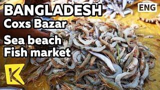 【K】Bangladesh Travel-Cox's Bazar[방글라데시 여행-콕스 바자르]시비치 해변 어시장/Sea beach/Fish market/Curry