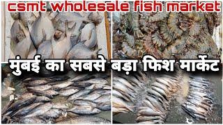 मुंबई का सबसे बड़ा मच्छी मार्केट# cst fish market #mumbai #fish market vlog#wholesale fish market