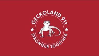 Geckoland Incident - 26 Dec 2022